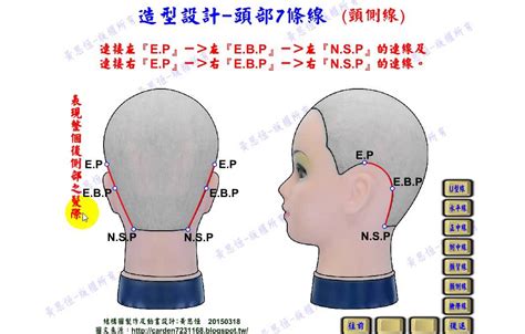 頭部七條基準線中側頭線是